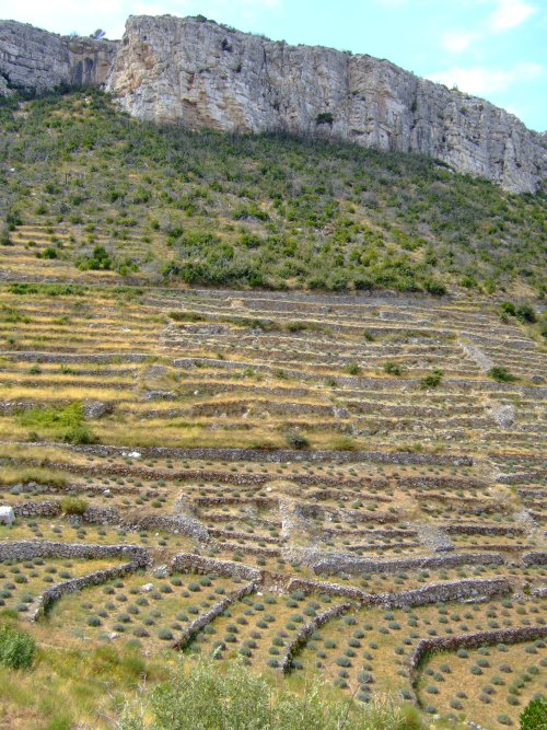 Hvar